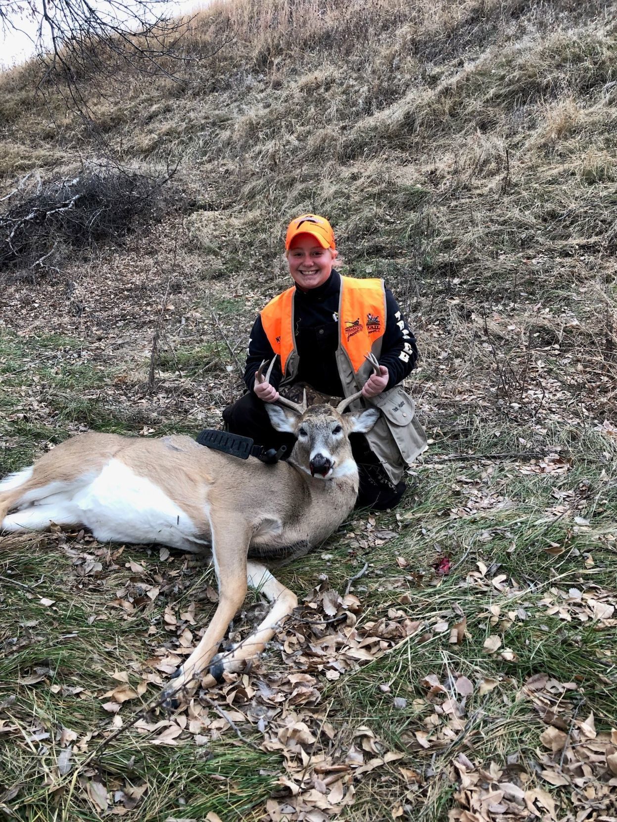 First bucks